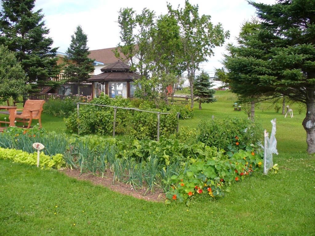 Gite Parfum De Mer Bed And Breakfast Pabos Екстер'єр фото